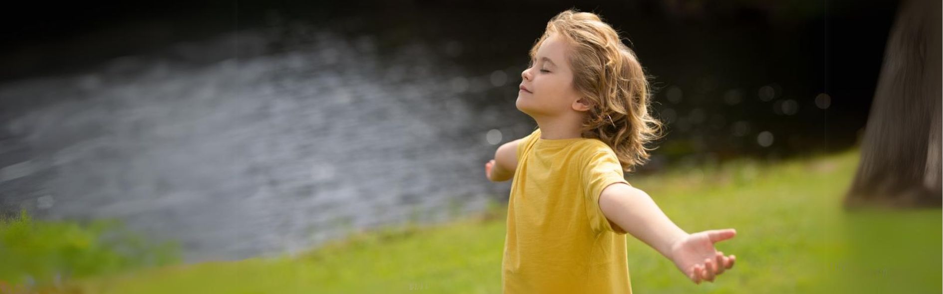 Descubre los principios del mindfulness y su aplicación en la educación.